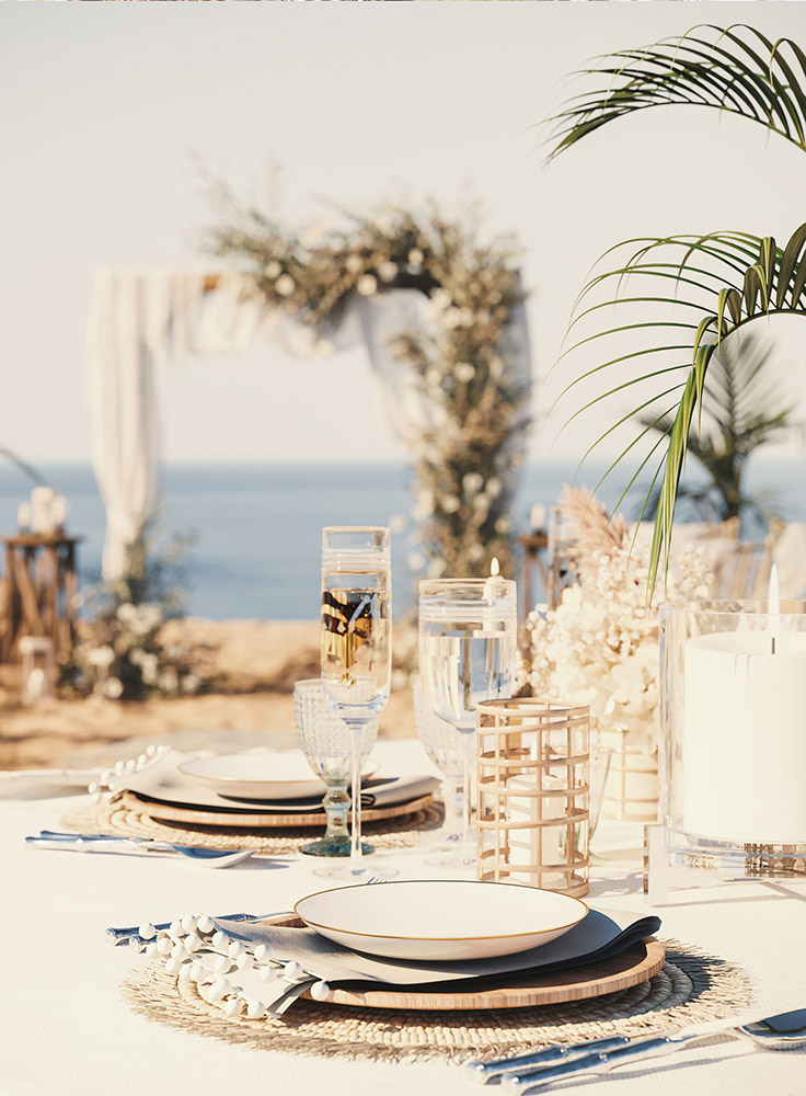 3D Landscape Visualization of a greek wedding with plates and glasses